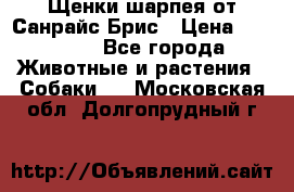 Щенки шарпея от Санрайс Брис › Цена ­ 30 000 - Все города Животные и растения » Собаки   . Московская обл.,Долгопрудный г.